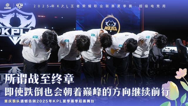 WB4-1狼队,梓墨压制归期,风箫搞笑失误,老林真情流露