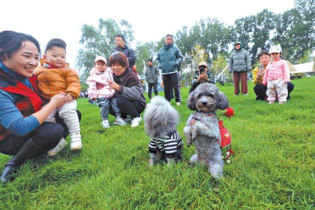 平谷宠物经济落地出圈